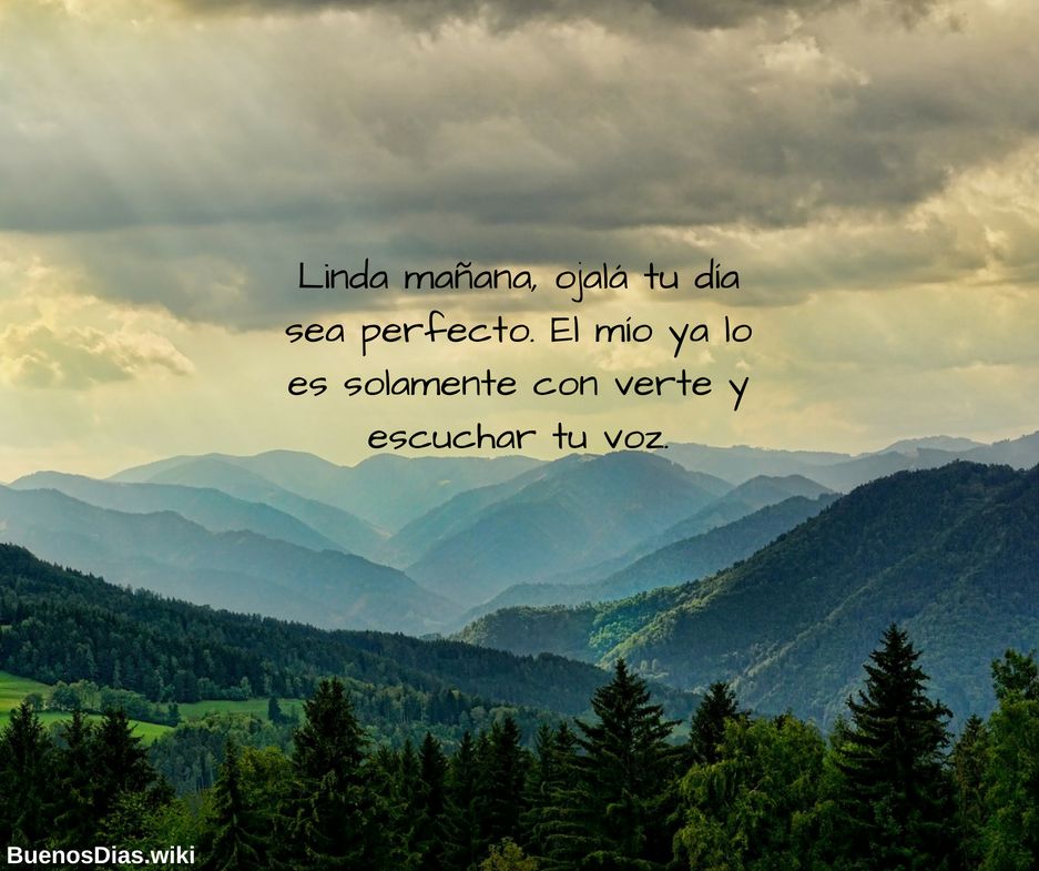 Frases de buenos días para mi amor